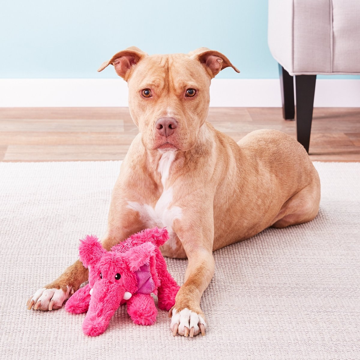 Patchwork Pet Elmer the Elephant Dog Toy, 8-in