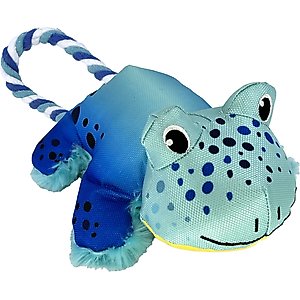 KONG Cozie Tuggz Frog Dog Toy, Medium/Large