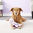 Show in main carousel: KONG CuteSeas Octopus Dog Toy, Large slide 3 of 7