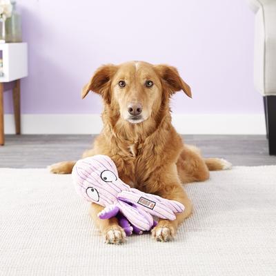 Show full view: KONG CuteSeas Octopus Dog Toy, Large slide 3 of 7