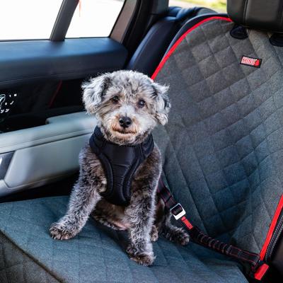 Show full view: KONG Deluxe Swivel Tether Dog Safety Belt, Black & Red slide 5 of 7