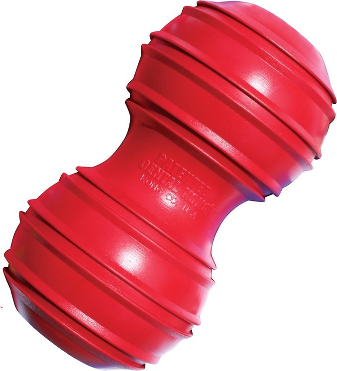 KONG DOG CHEW TOYS (Free Shipping) | Chewy