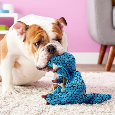 Show full view: KONG Dynos T-Rex Dog Toy, Large slide 3 of 9