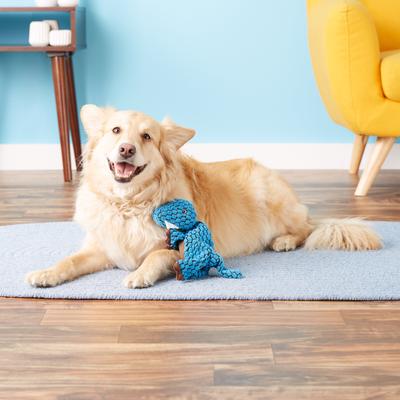 Show full view: KONG Dynos T-Rex Dog Toy, Small slide 3 of 7