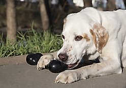 KONG Extreme Goodie Bone Dog Toy, Large slide 2 of 4