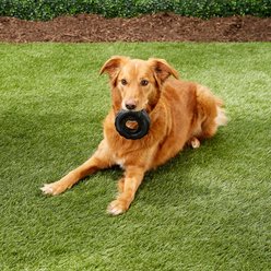 KONG Extreme Tires Dog Toy, Medium/Large slide 2 of 5