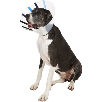KONG KONG EZ Clear Collar for Dogs & Cats, King
