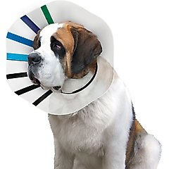 KONG EZ Clear Collar for Dogs & Cats, Large