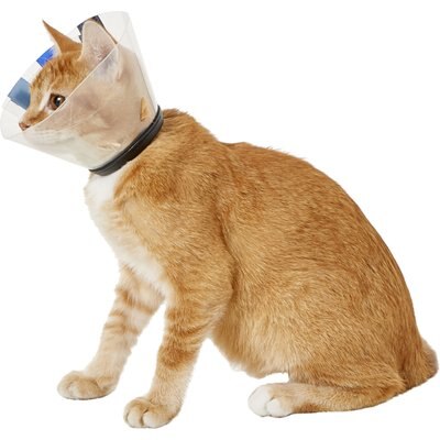 KONG KONG EZ Clear Collar for Dogs & Cats, Small