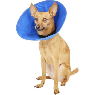 KONG KONG EZ Soft Collar for Dogs & Cats, Small