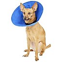 KONG EZ Soft Collar for Dogs & Cats, Small
