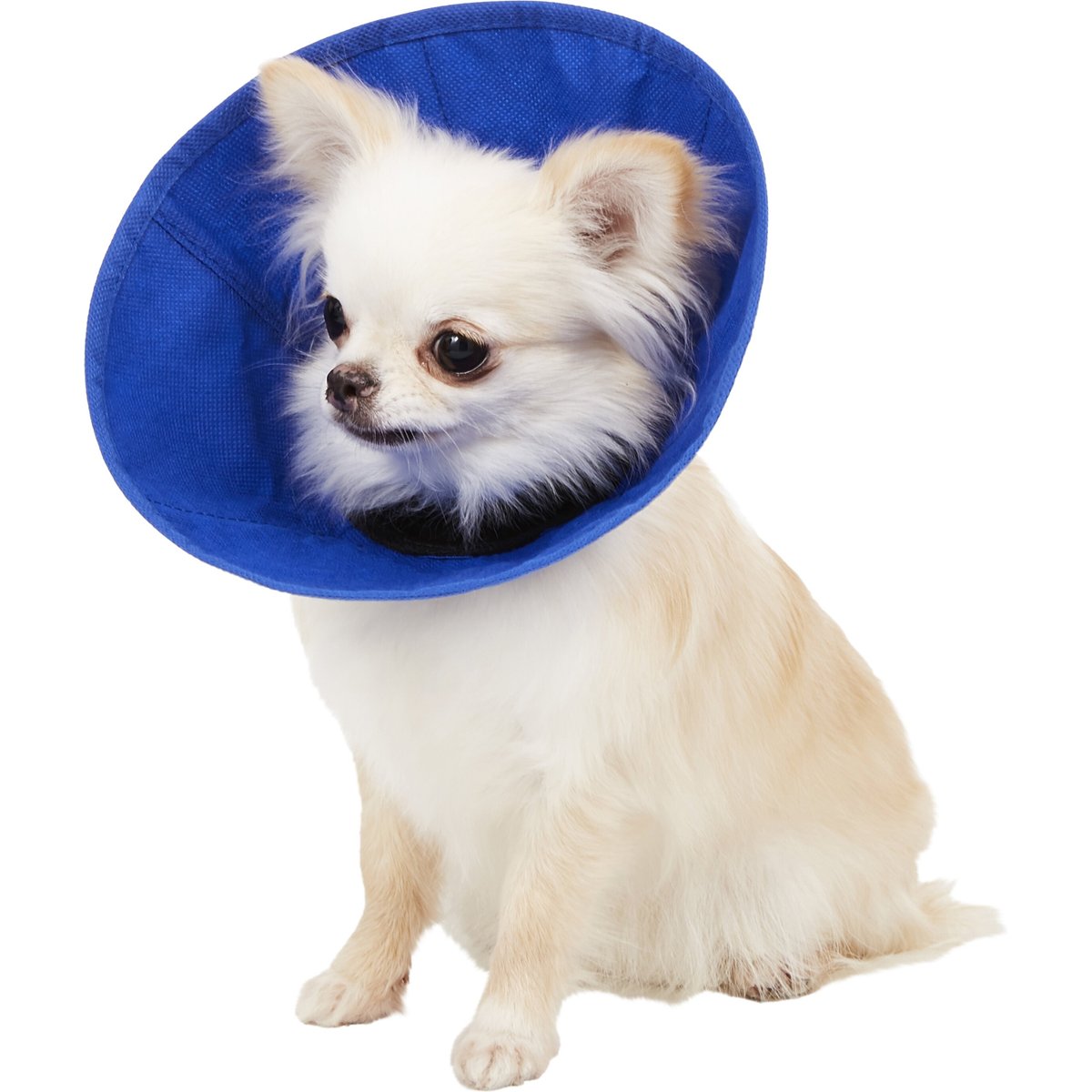 KONG EZ Soft Collar for Dogs & Cats, X-Small