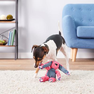 Show full view: KONG Floppy Knots Dog Toy, Bunny, Small/Medium slide 2 of 9