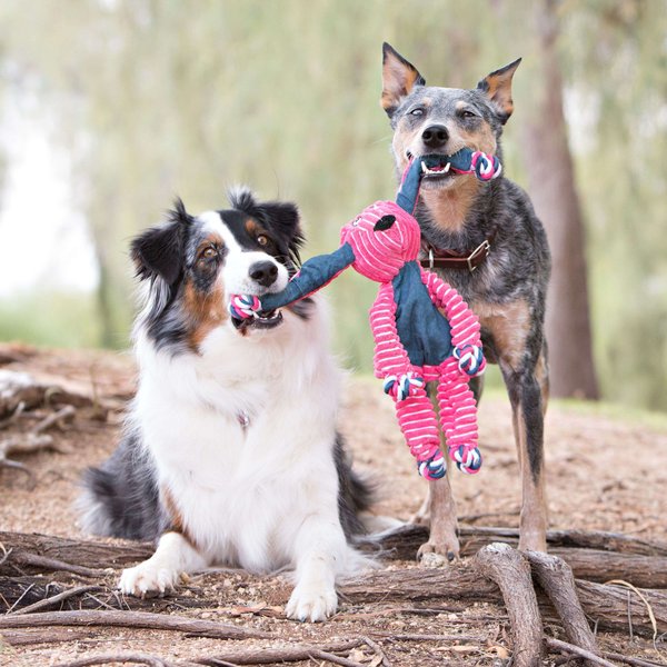 KONG Floppy Knots Dog Toy, Bunny
