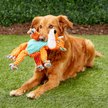 Show in main carousel: KONG Floppy Knots Dog Toy, Fox, Medium/Large slide 2 of 9