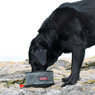Show full view: KONG Fold-Up Dog Bowl, Red & Black, Small slide 3 of 5