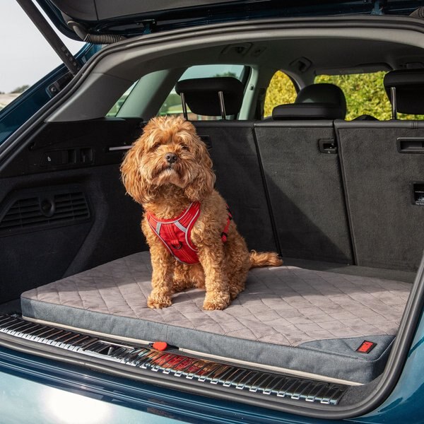 KONG Fold-Up Dog Travel Mat