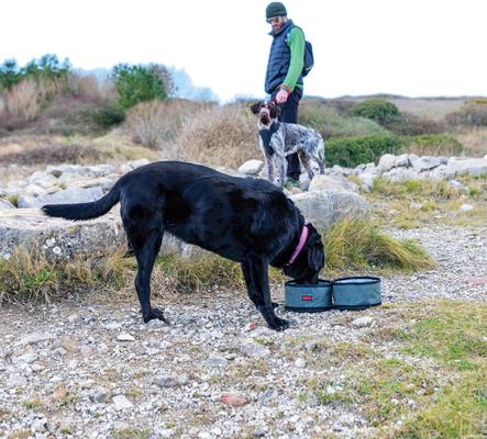 Show full view: KONG Fold-Up Double Dog Bowl slide 6 of 6