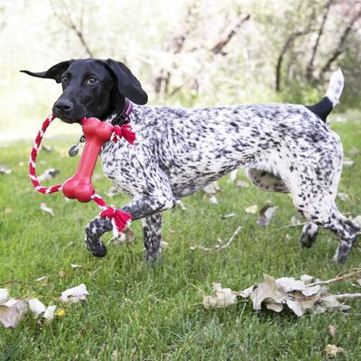 Show full view: KONG Goodie Bone with Rope Dog Toy, X-Small slide 3 of 6