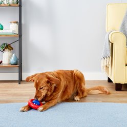 KONG Gyro Dog Toy, Small slide 2 of 6