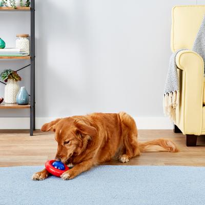 Show full view: KONG Gyro Dog Toy, Small slide 2 of 8