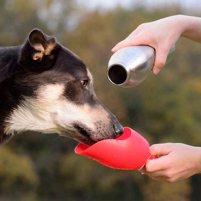 Show full view: KONG H2O Dog Stainless Steel Bottle, Red, Large slide 2 of 5