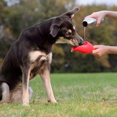 Show full view: KONG H2O Dog Stainless Steel Bottle, Red, Large slide 4 of 5