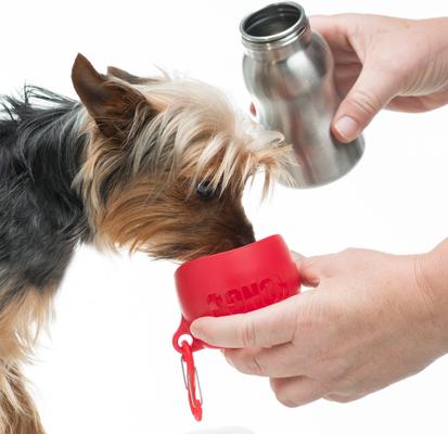 Show full view: KONG H2O Dog Stainless Steel Bottle, Red, Small slide 3 of 5