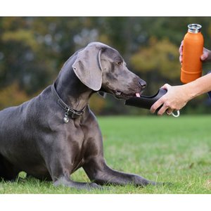 KONG H2O K9 UNIT Insulated Stainless Steel Dog Water Bottle & Travel Bowl, Orange, 25-oz