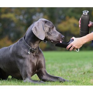 KONG H2O K9 UNIT Insulated Stainless Steel Dog Water Bottle & Travel Bowl, Shadow Black, 25-oz