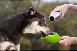 KONG H2O Stainless Steel Dog Water Bottle, Green, 25-oz slide 2 of 2
