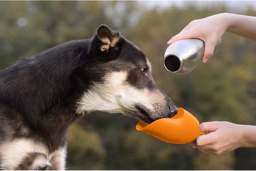 Show full view: KONG H2O Stainless Steel Dog Water Bottle, Orange, 25-oz slide 3 of 4