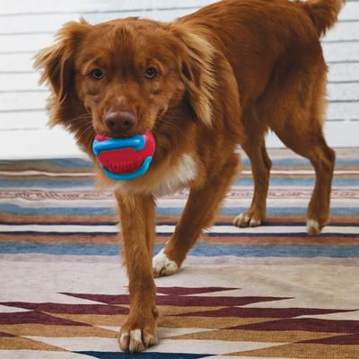 Show full view: KONG Jaxx Brights Dog Ropes Tug Toy with Ball, Assorted, Medium slide 5 of 6