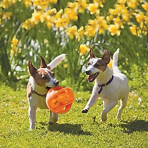 KONG Jumbler Ball Dog Toy, Color Varies, Large/X-Large
