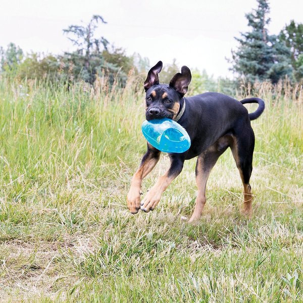 KONG Jumbler Football Dog Toy, Color Varies