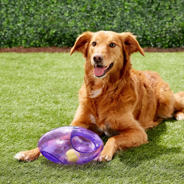 KONG Jumbler Football Dog Toy, Color Varies