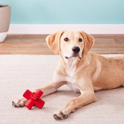 Show full view: KONG Jump'N Jack Dog Toy, Large slide 2 of 6