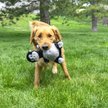 Show in main carousel: KONG Knots Belly Gorilla Tough Squeaky Plush Dog Toy, Black, Medium/Large slide 4 of 4