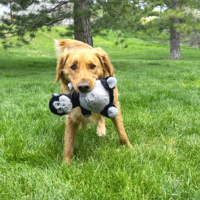 Show full view: KONG Knots Belly Gorilla Tough Squeaky Plush Dog Toy, Black, Medium/Large slide 4 of 4