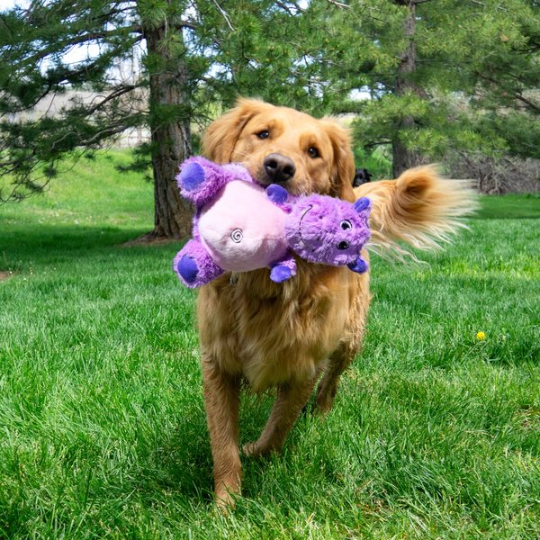 Show full view: KONG Knots Belly Hippo Tough Squeaky Plush Dog Toy, Purple Pink, Medium/Large slide 4 of 4
