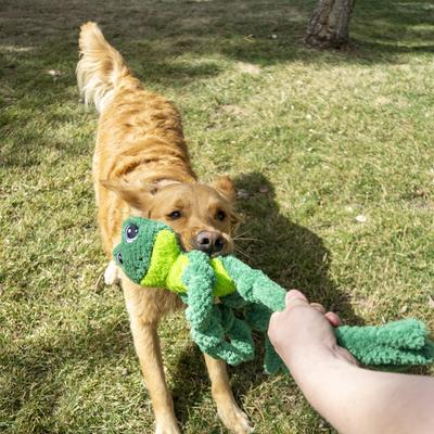 Show full view: KONG Knots Frog Squeaky Dog Plush Toy, Green, Large/X-Large slide 4 of 5