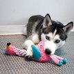 Show in main carousel: KONG Knots Twists Plush Assorted Character Dog Toy, Small/ Medium slide 3 of 6