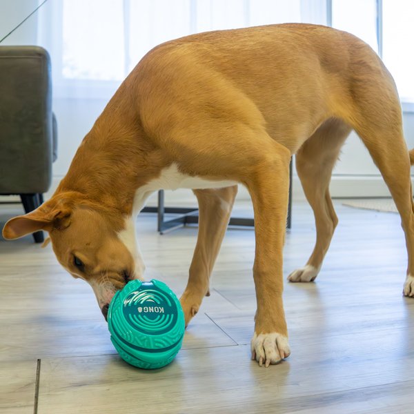 Show full view: KONG Licks Rewards Dog Treat Dispensers Toy, Green, Medium/Large slide 5 of 6