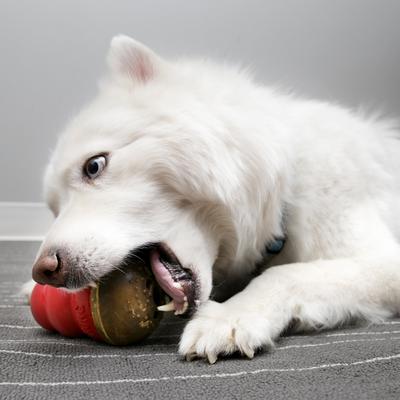 Show full view: KONG Marathon Chicken Recipe Grain-Free Dog Chew Large Treats, 2 count slide 4 of 12