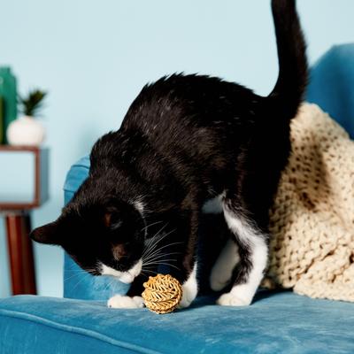 Show full view: KONG Naturals Straw Balls Cat Toy, Straw Balls, 2-pack slide 5 of 7