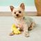 Show in main carousel: KONG Plush Duck Dog Toy, 4-in slide 4 of 7