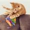 Show in main carousel: KONG Pull-A-Partz Purrito Plush Cat Toy with Catnip slide 4 of 7