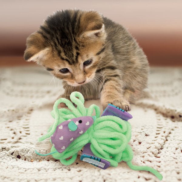 Show full view: KONG Pull-A-Partz Yarnz Assorted Plush Cat Toy with Catnip slide 4 of 6