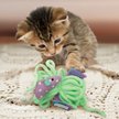 Show in main carousel: KONG Pull-A-Partz Yarnz Assorted Plush Cat Toy with Catnip slide 4 of 6