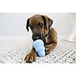 Show in main carousel: KONG Puppy Chew Dog Toy, Blue, Medium slide 3 of 9